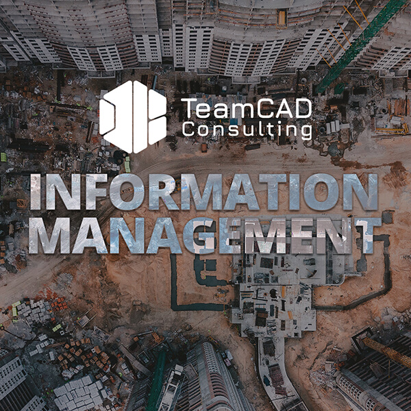 TeamCAD Information Management Consulting