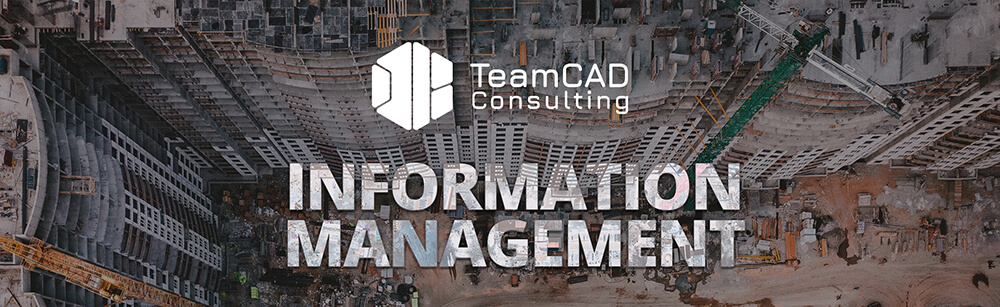 TeamCAD Information Management Consulting