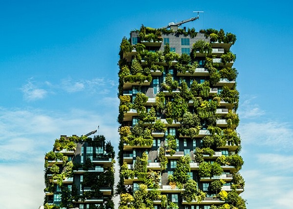 Zelene fasade štite od sunčeve svetlosti i vrelih temperatura, smanjujući zahteve za održavanjem zgrade.